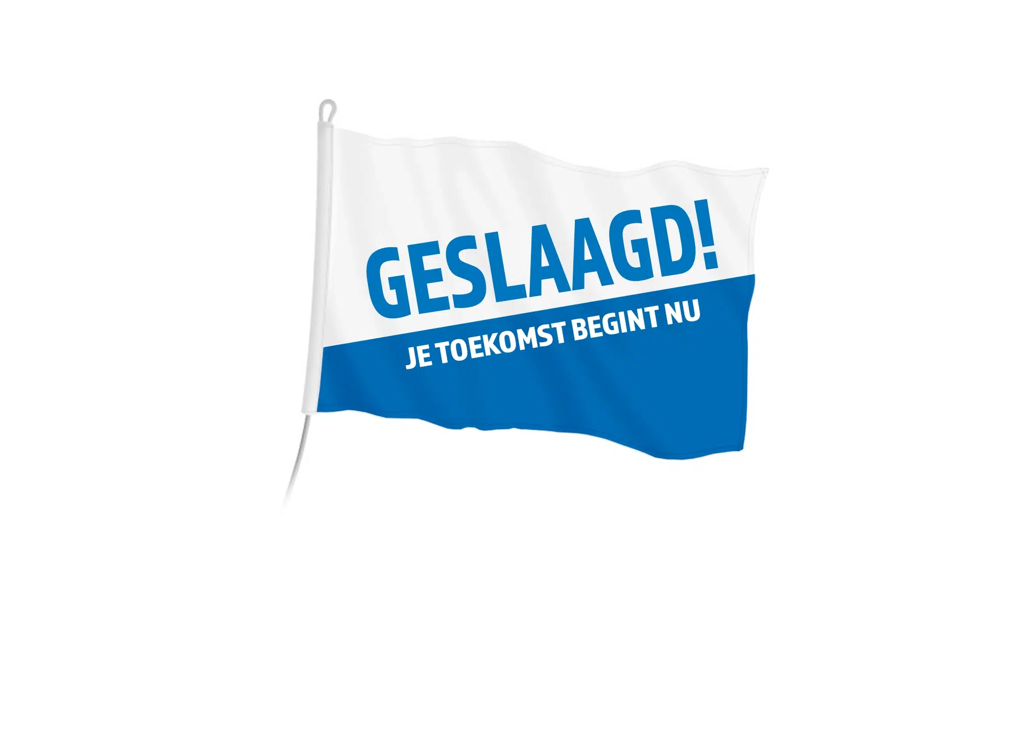 Geslaagdvlaggen
